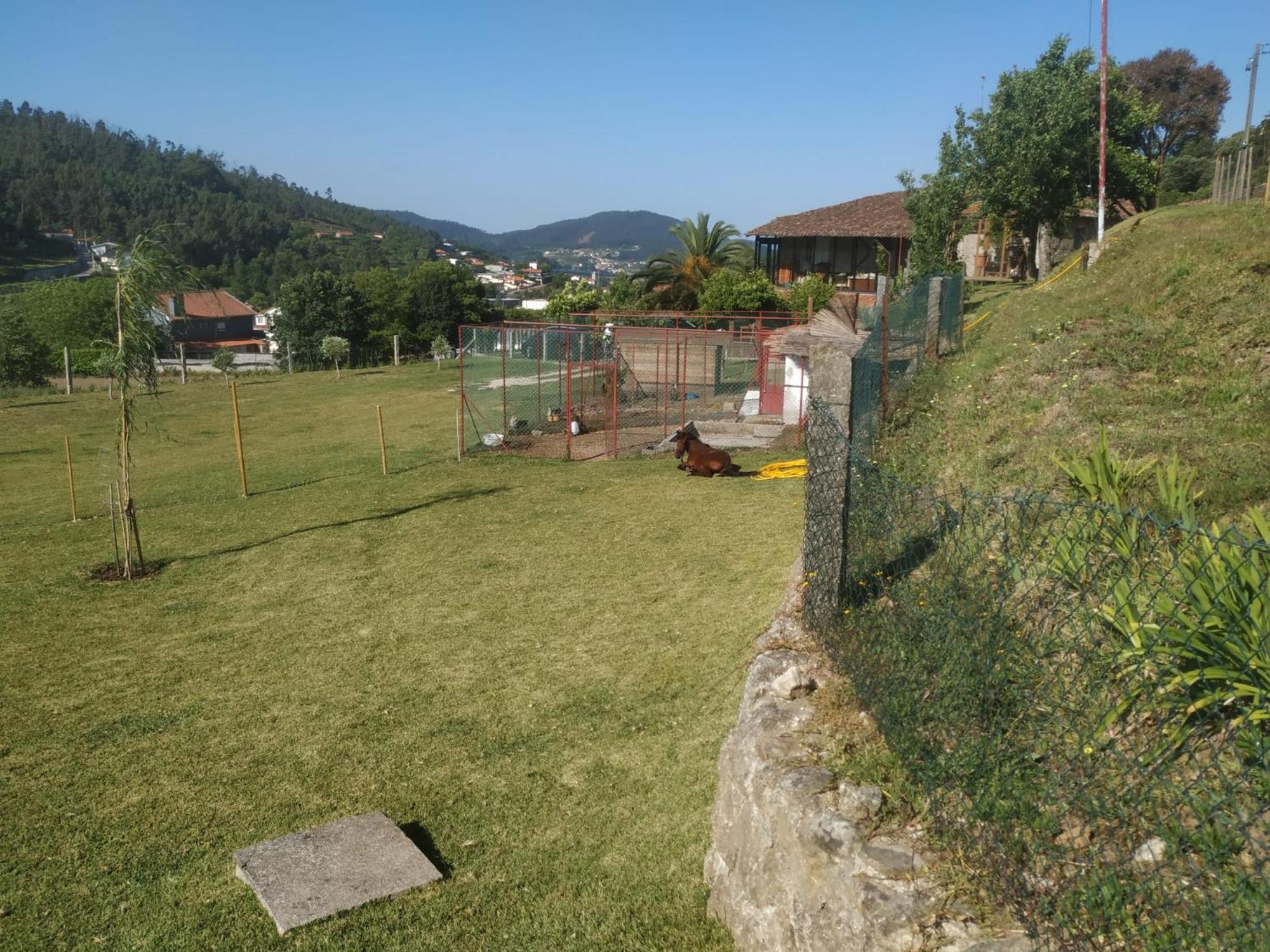 Quinta Dos Campos - Apartamento 2 Braga Eksteriør bilde